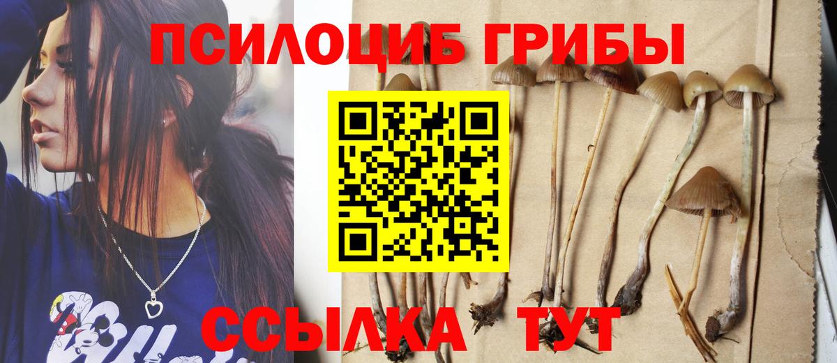сколько стоит  Псилоцибиновые грибы Cubensis  Вход с VPN  Фурманов 